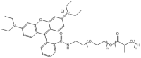 聚丙交酯聚乙二醇罗丹明 / 聚丙交酯聚乙二醇罗丹明