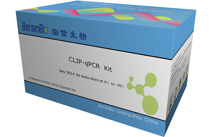 CLIP-qPCR 试剂盒（CLIP-qPCR Kit，12T）