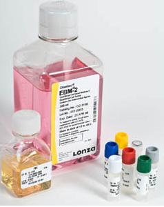 CC-3162 Lonza EGM-2 内皮细胞培养基