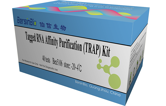 TRAP试剂盒（TRAP Kit，40T）