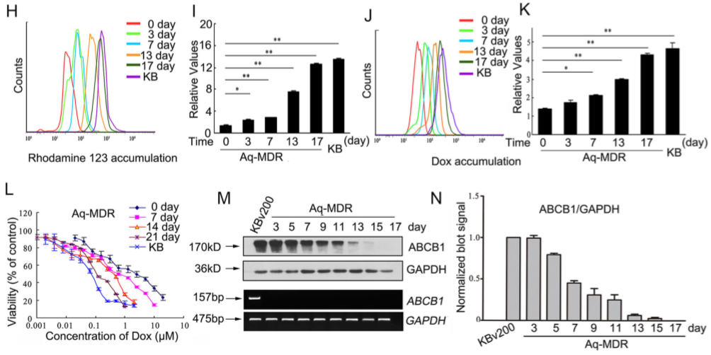 化学治疗药物刺激细胞外囊泡的释放和再循环以帮助癌细胞发展出紧急的化学抗性