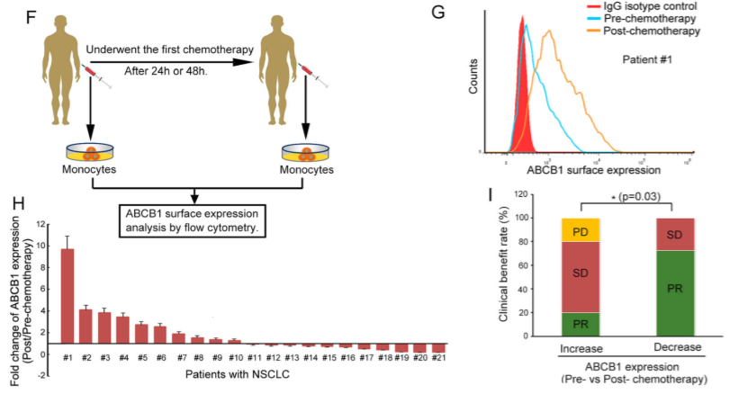 化学治疗药物刺激细胞外囊泡的释放和再循环以帮助癌细胞发展出紧急的化学抗性