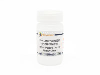 RNALater™动物组织RNA稳定保存液