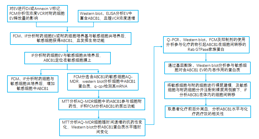 化学治疗药物刺激细胞外囊泡的释放和再循环以帮助癌细胞发展出紧急的化学抗性