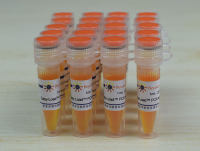 Easy-Load™ PCR Master Mix (Orange, 2X)