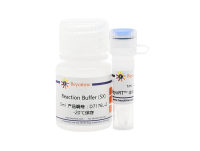 BeyoRT™ III M-MLV反转录酶