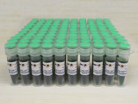 Easy-Load™ PCR Master Mix (Green, 2X)