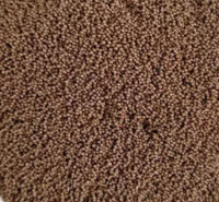 争光牌ZG SL 821除氟砷专用树脂