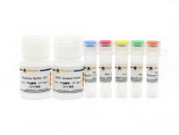 BeyoRT™ II cDNA第一链合成试剂盒(RNase H-)