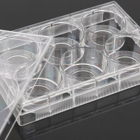 NEST 6孔玻底培养板