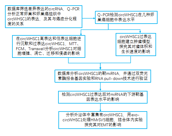 CircWHSC1通过调节miR-145和miR-1182调节MUC1和hTERT来促进卵巢癌进展