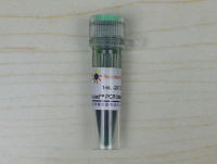 Easy-Load™ PCR Master Mix (Green, 2X)