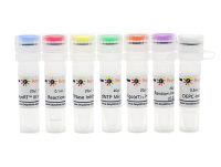 BeyoRT™ III cDNA第一链合成试剂盒