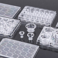 细胞小室，PC膜，未TC处理