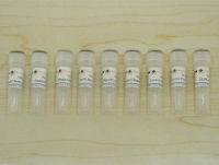 BeyoRT™ cDNA第一链合成试剂盒(RNase H-)