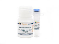 BeyoRT™ II M-MLV反转录酶(RNase H-)