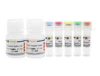BeyoRT™ III cDNA第一链合成试剂盒