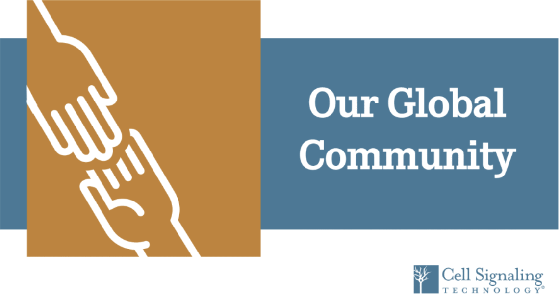 中国需要口罩和防护服：我们能提供什么帮助？