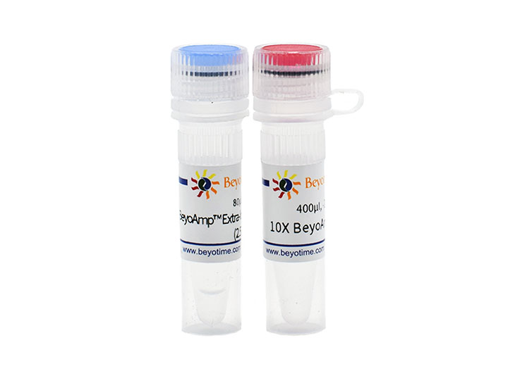 BeyoAmp™ Plus Extra-long DNA Polymerase