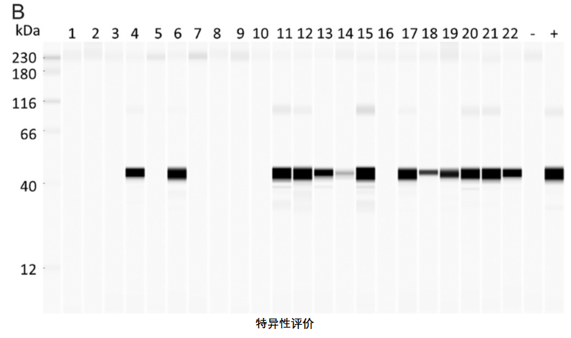 技术资料图片6