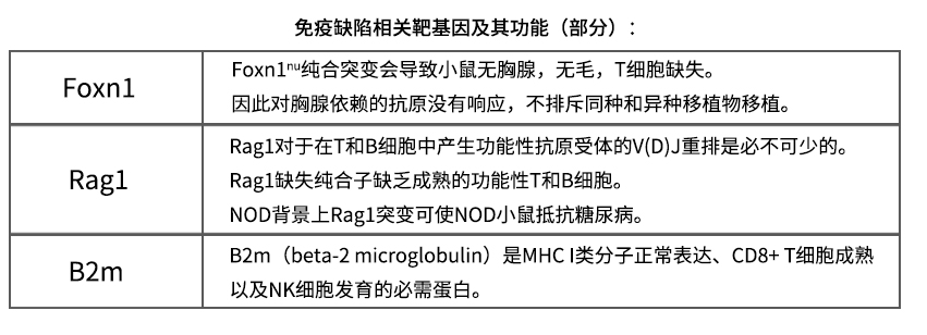 你选对免疫缺陷小鼠了么？
