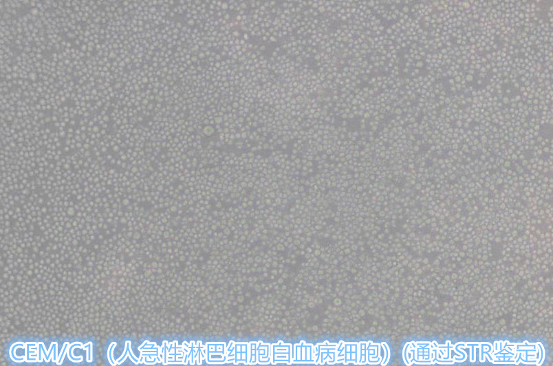 产品细节图片1