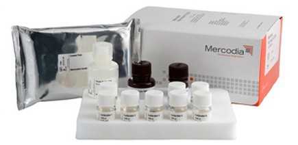 Mercodia Leptin ELISA（瘦素检测试剂盒） *