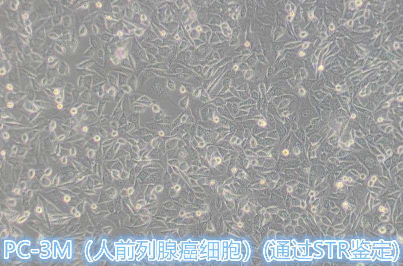 产品细节图片1