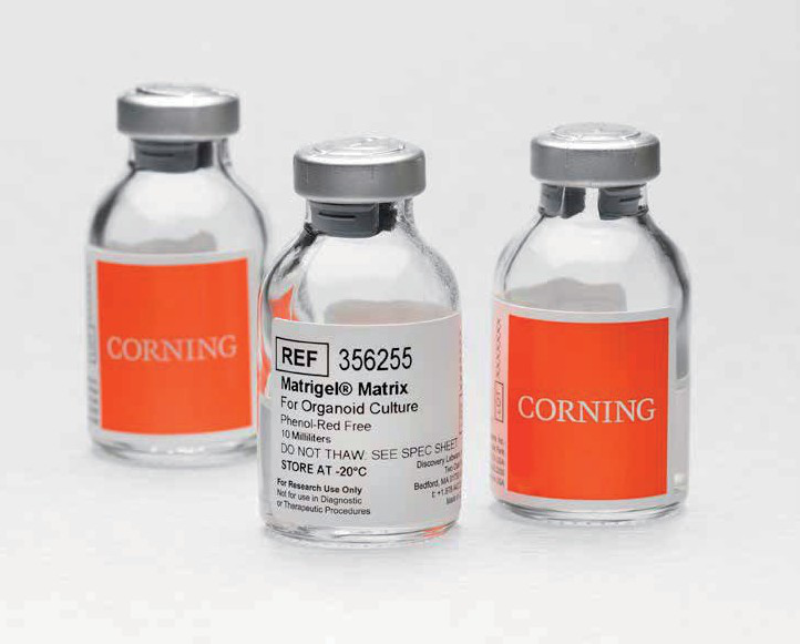 Matrigel基质-Corning类器官培养专用