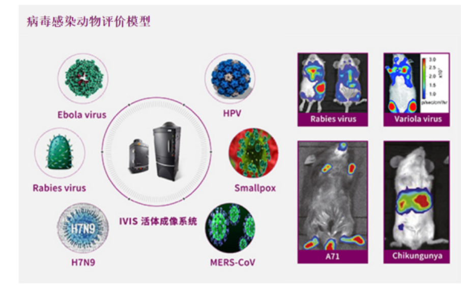 病毒感染疾病研究整体解决方案