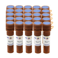 BeyoFast™ Probe qPCR Mix (2X, Low ROX)