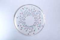 Wheat albomycin Test Medium