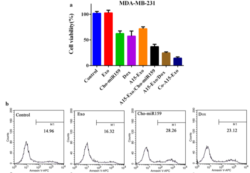 功能性外泌体介导的阿霉素和疏水修饰的microRNA 159共递送，可用于三阴性乳腺癌治疗