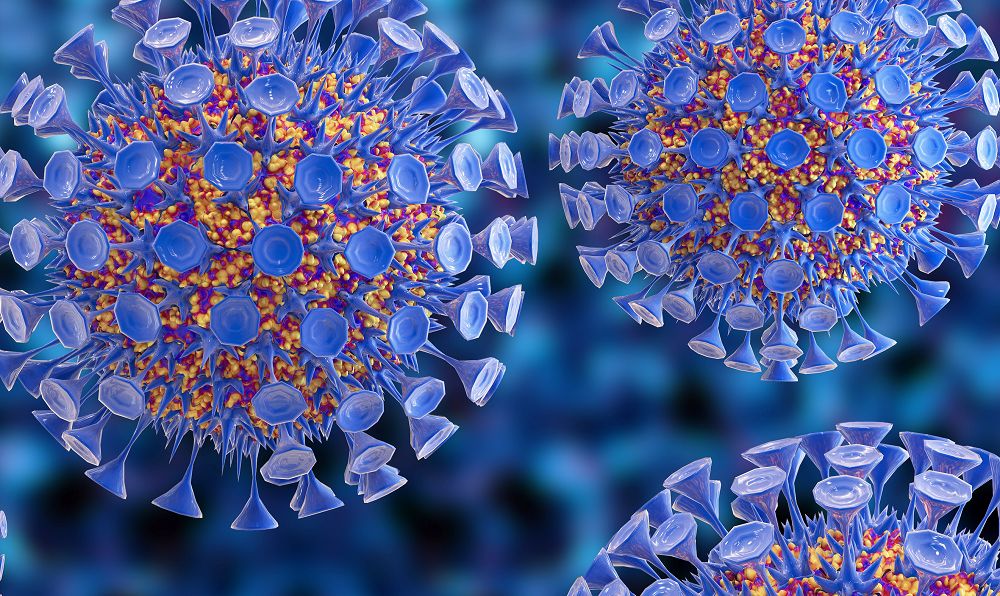 病毒感染疾病研究整体解决方案