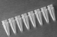 Axygen® 0.2 mL聚丙烯PCR联排管,8联管,透明,非灭菌