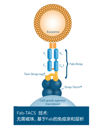 新品上架：FAB-TACS外泌体分选剂盒