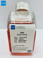 1640细胞专用培养基/镜像绮点（Cellverse）