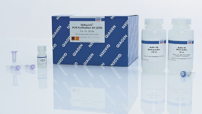 Qiagen 28106 PCR回收试剂盒