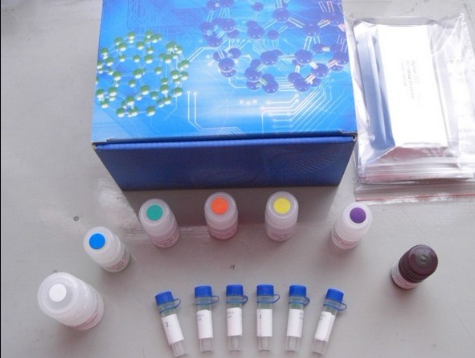 无齿类圆线虫PCR试剂盒特点有哪些