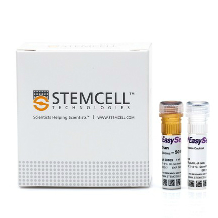 EasySep™ 人CD4+ T细胞分选试剂盒