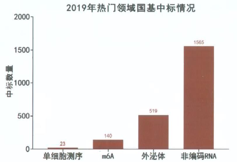 标书量身定制服务