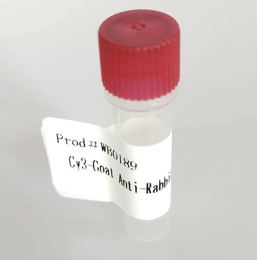 Cy3标记抗兔IgG(H+L)