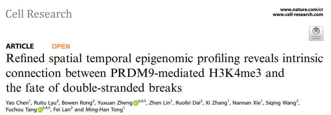 Cell Research | 南模生物助力揭示减数分裂同源重组命运决定的表观遗传学基础