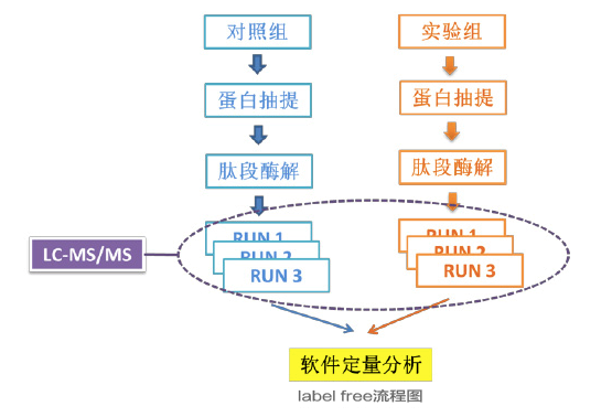 Label free 非标记定量蛋白质组学