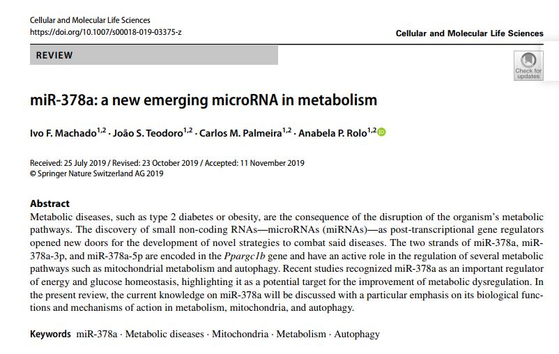 说明: C:\Users\y505\Desktop\miR-378a a new emerging microRNA in metabolism\$`0%VDL`T}$LN[~9(LXCH[W.png