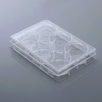 NEST 6孔细胞培养板 未TC 703011