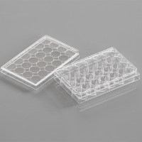 NEST 24孔细胞培养板 未TC 702011