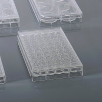 NEST 48孔细胞培养板 TC 748001