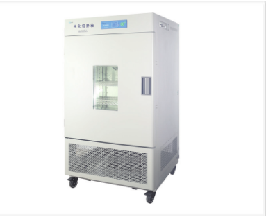 上海一恒霉菌培养箱MJ-150-Ⅰ