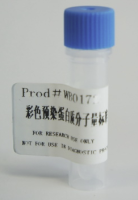 彩色预染蛋白Marker（40-300KD）